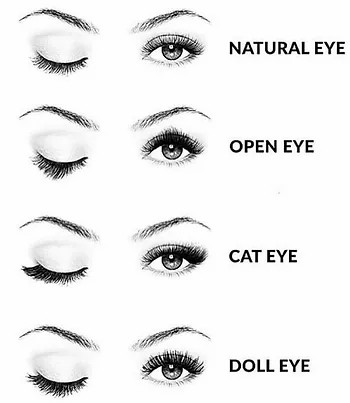 What are common lash styles?